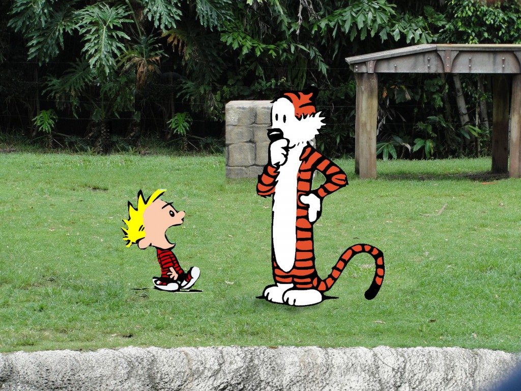 Calvin and hobbes