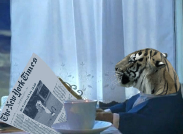 tiger reading NP
